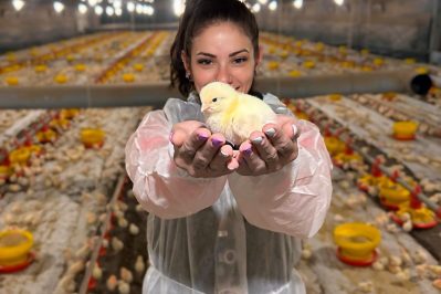 VETANCO Carina Z Barcik Vencedora do 1 Concurso Fotografico Chicken Lovers Credito Divulgacao 1