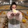 VETANCO Carina Z Barcik Vencedora do 1 Concurso Fotografico Chicken Lovers Credito Divulgacao 1