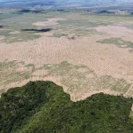 FPA solicita postponimento das novas normas ambientais para financiamento rural 15 evFCzkUwgtRuta34GXTiSKog.webp