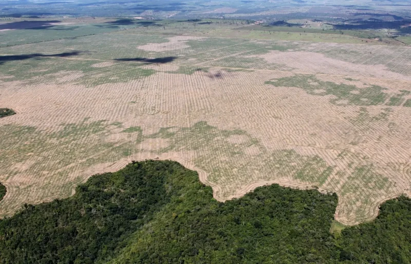 FPA solicita postponimento das novas normas ambientais para financiamento rural 1 evFCzkUwgtRuta34GXTiSKog.webp