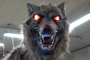 Lobos robóticos se tornam solução improvável contra ataques de ursos no Japão