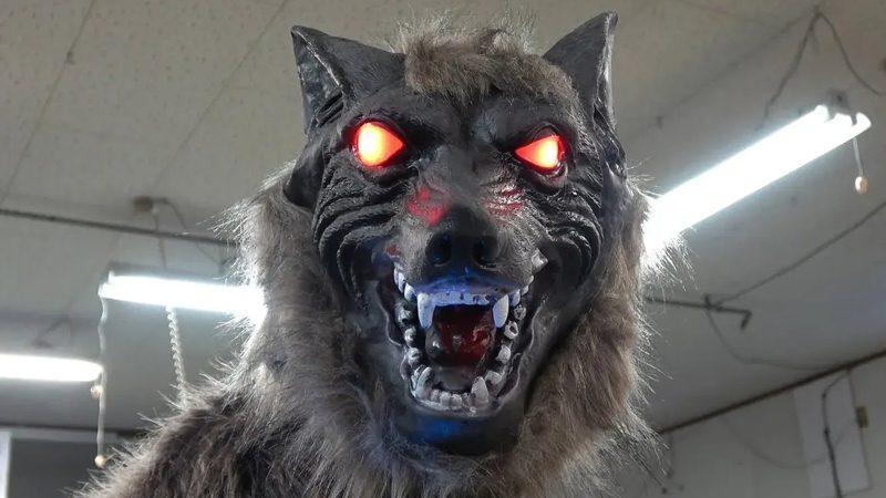 Lobos robóticos se tornam solução improvável contra ataques de ursos no Japão
