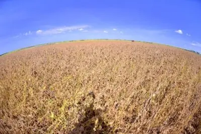 Rota dos graos em Roraima Ascom Seadi 2 674x450 1