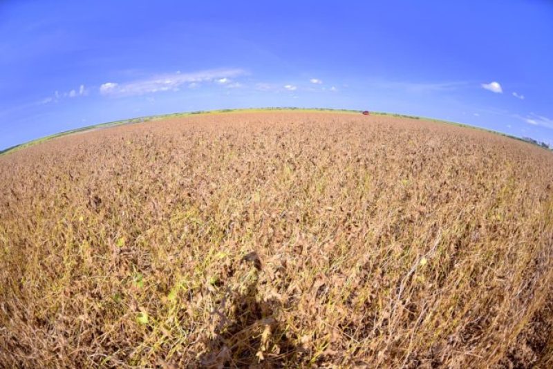 Rota dos graos em Roraima Ascom Seadi 2 674x450 1