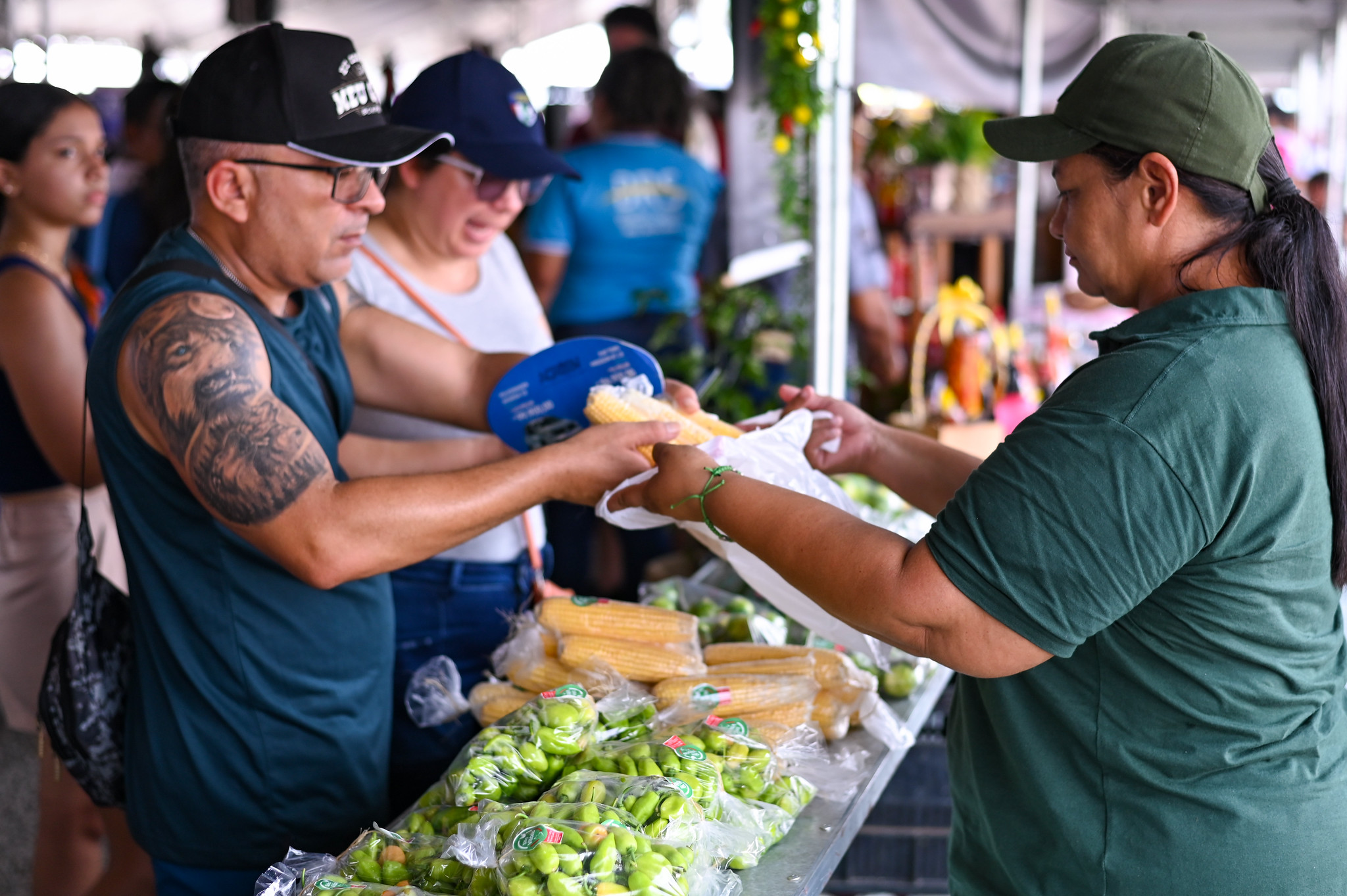 1785323518 449 Agricultores familiares se preparam para expor e vender no AgroBV