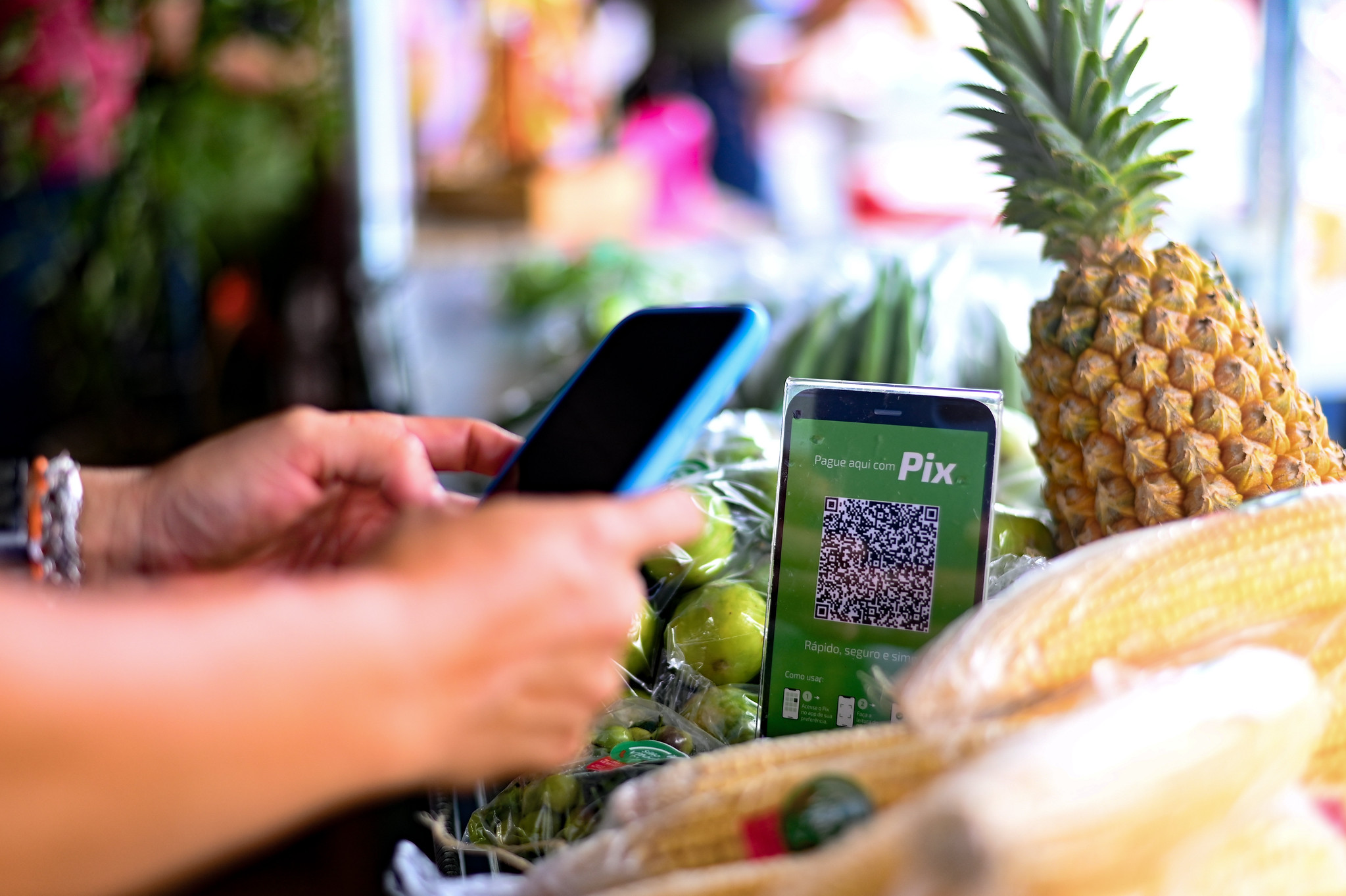 1785323518 740 Agricultores familiares se preparam para expor e vender no AgroBV
