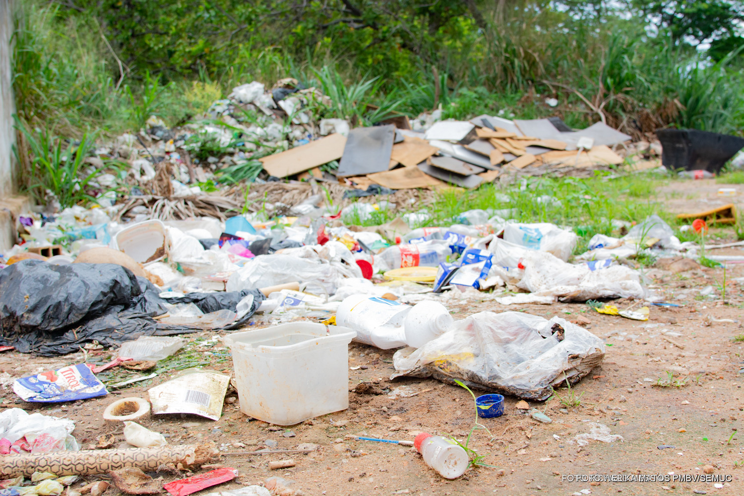 1785337998 425 Prefeitura reforca fiscalizacao de terrenos baldios em Boa Vista