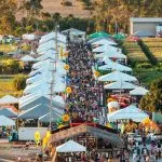 AgroBV torna-se maior feira do agronegócio de Roraima