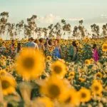 Números revelam a dimensão do maior evento agro de Roraima