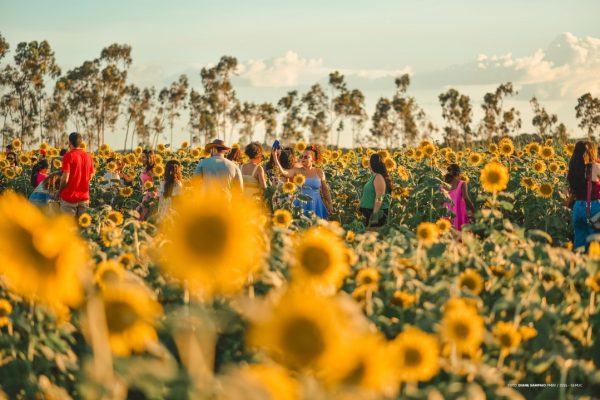 Números revelam a dimensão do maior evento agro de Roraima 8 54696186909 4cc1d3b52a k