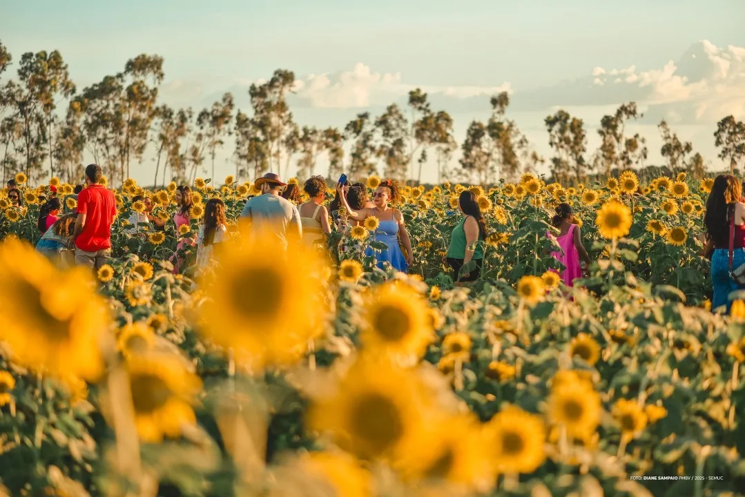 Números revelam a dimensão do maior evento agro de Roraima