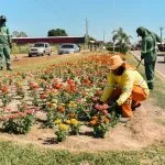 Boa Vista intensifica serviços de limpeza e zeladoria nesta sexta