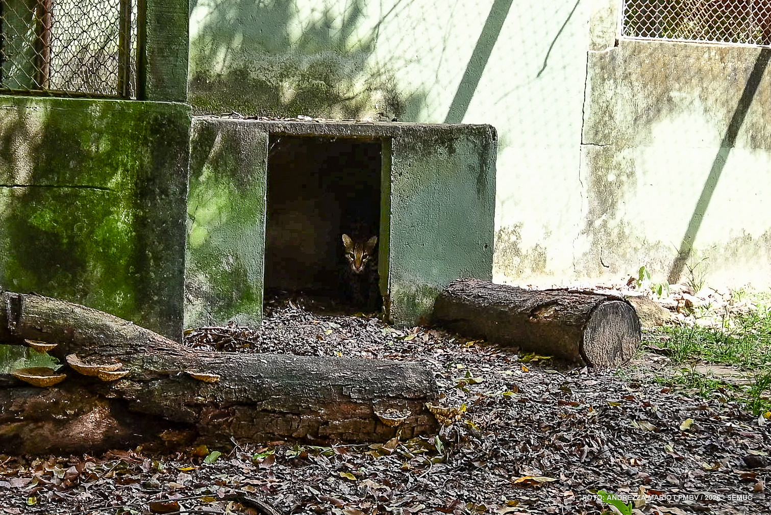 1785916439 155 Membros do ArtCanto visitam Mini Zoologico do 7o BIS