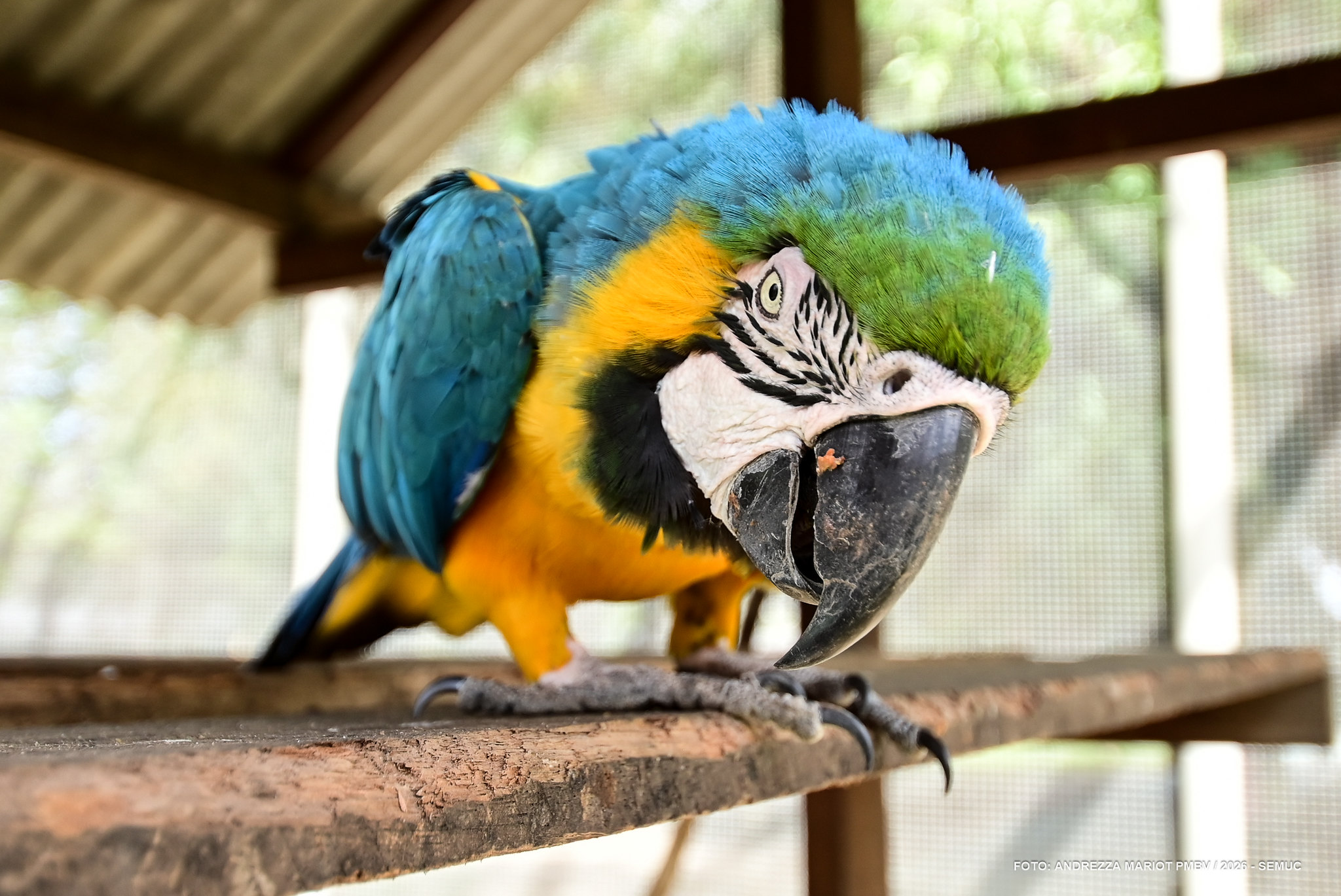 1785916439 406 Membros do ArtCanto visitam Mini Zoologico do 7o BIS