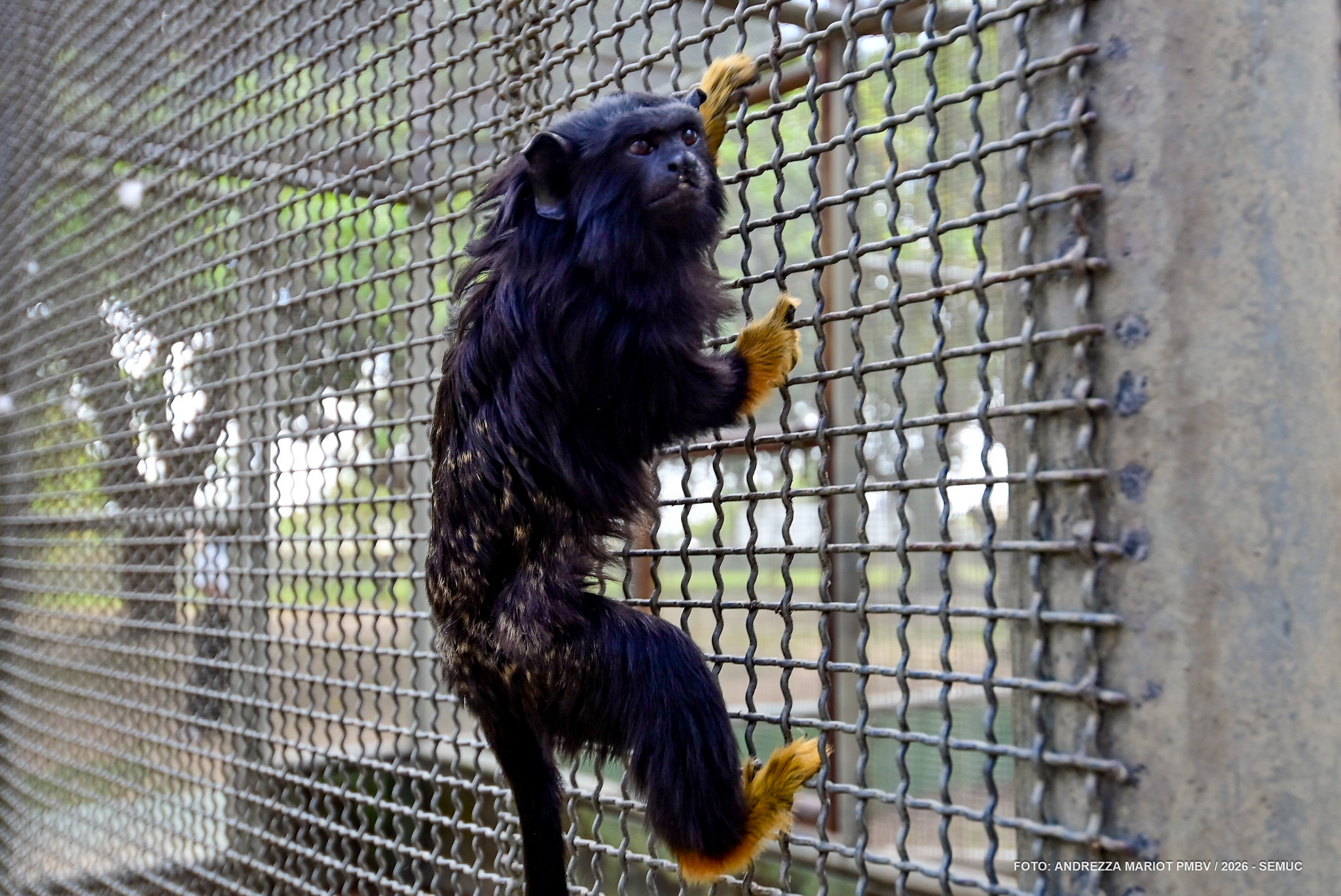 1785916439 808 Membros do ArtCanto visitam Mini Zoologico do 7o BIS
