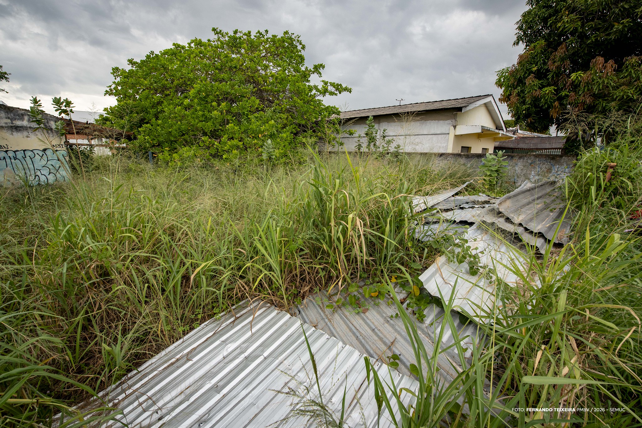 1787261841 173 Boa Vista intensifica fiscalizacao de terrenos baldios para evitar queimadas