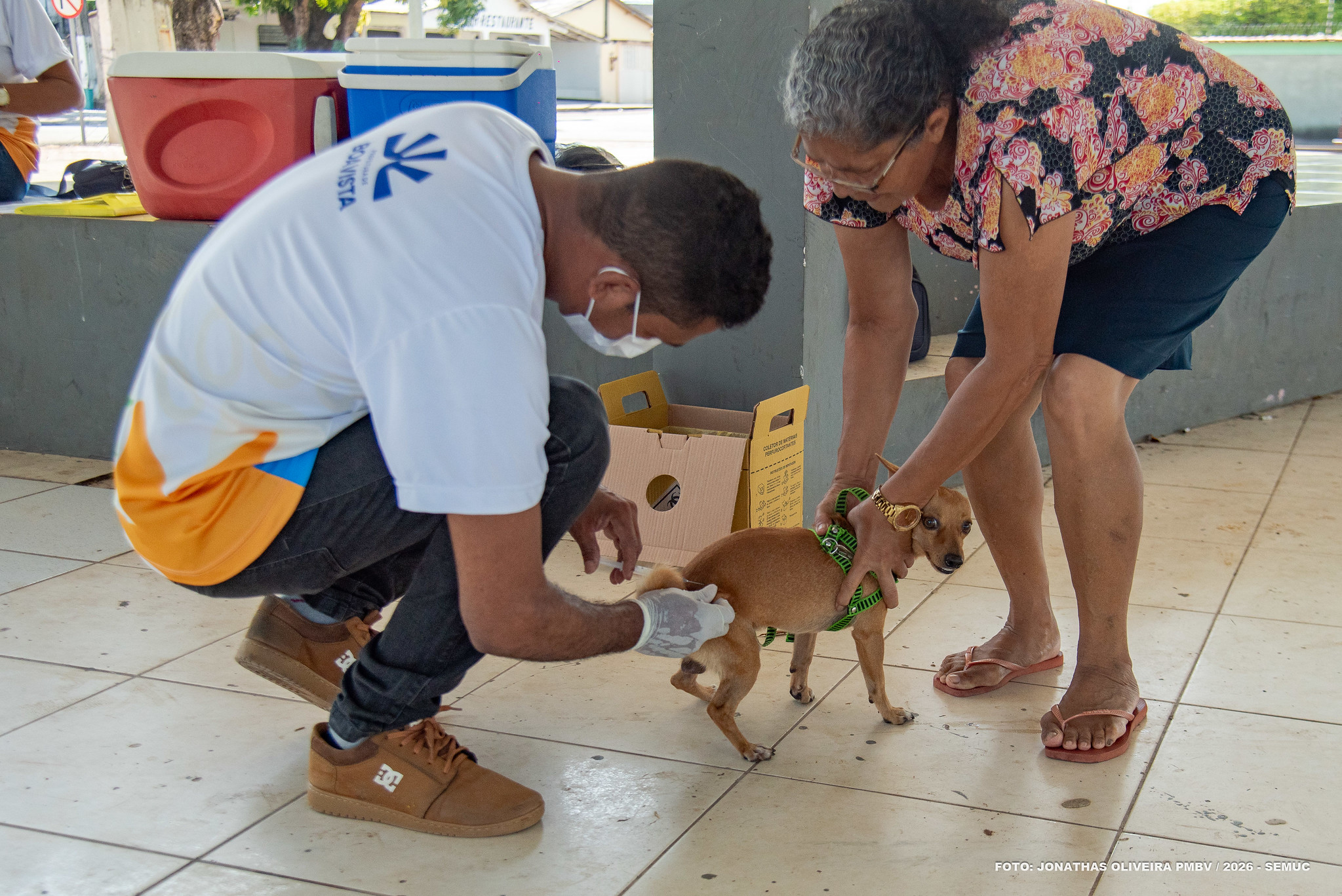 1787710315 872 Campanha antirrabica em Boa Vista vacinou 14473 animais urbanos