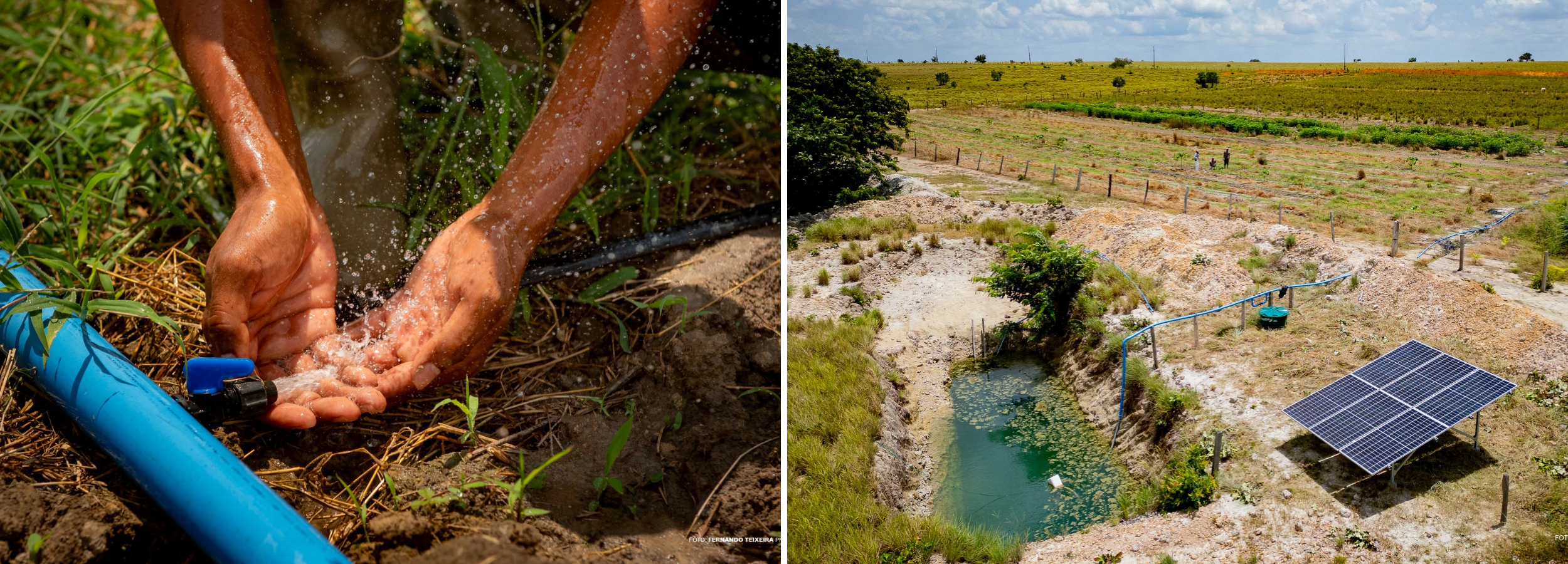 Economizar agua e dever de toda a populacao