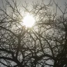 5dB3j77e97qJoeew8Q6mA7WL.webp