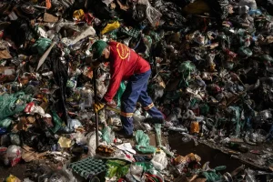 SÃO PAULO (SP): Falta de regulamentação em lei municipal sobre descartáveis desvaloriza resíduos das cooperativas 19 S3wiQGCwDZsJpm6F7Aan3b7D